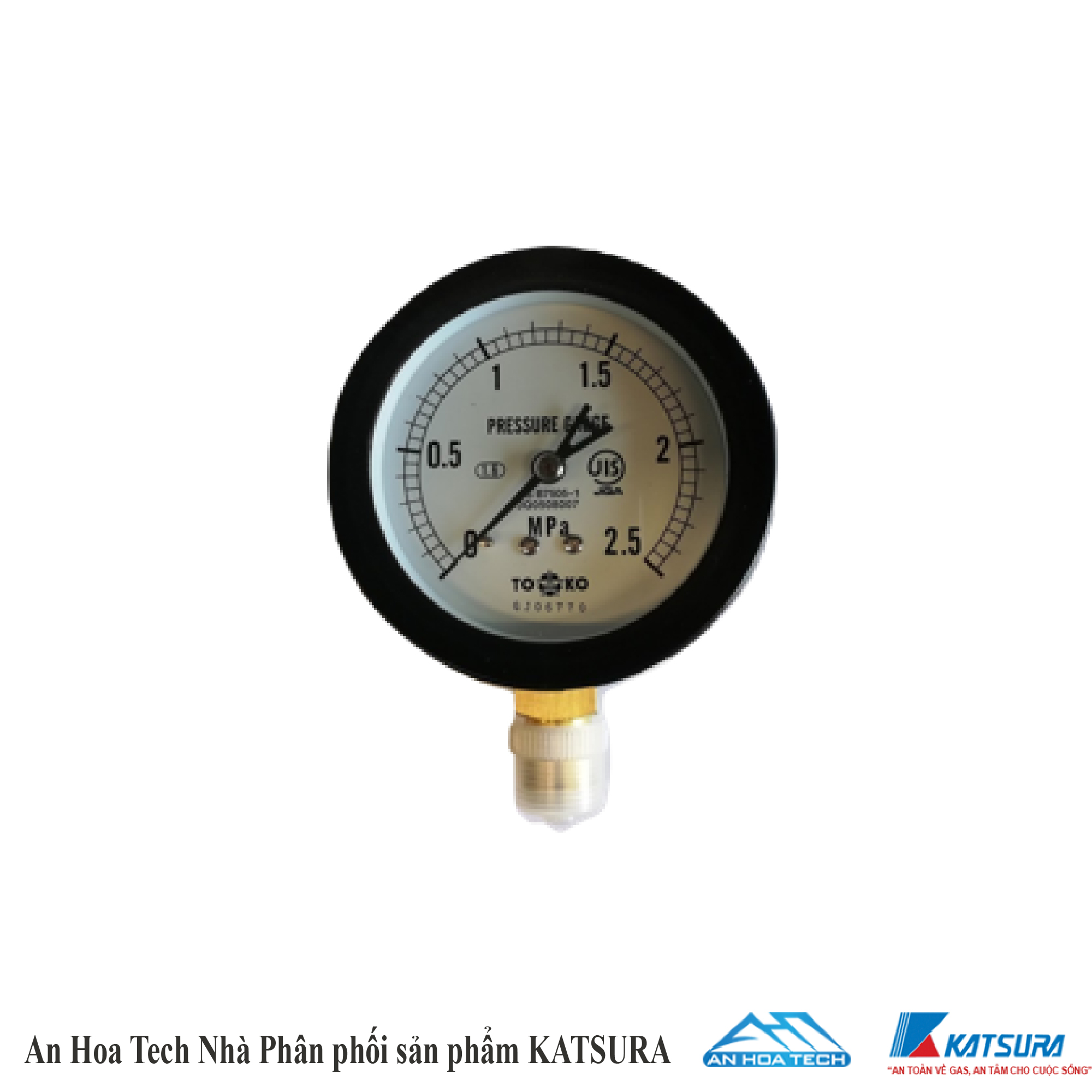 Đồng hồ đo áp suất cao áp (0-2.5MPa)